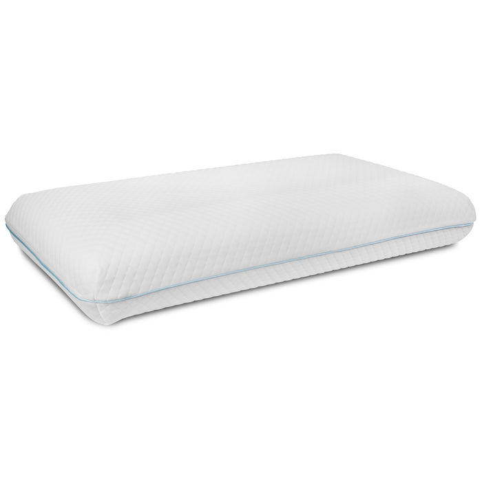 Memory Foam Cool Gel Size Pillow with Zippered Removable Pillow Case