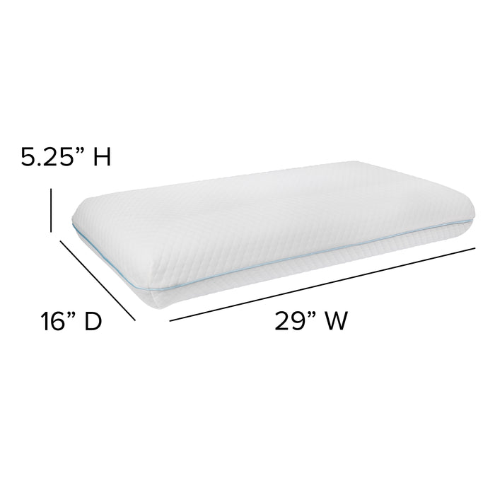 Memory Foam Cool Gel Size Pillow with Zippered Removable Pillow Case